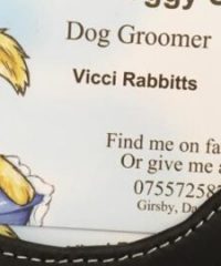 Viccis Doggy Spa