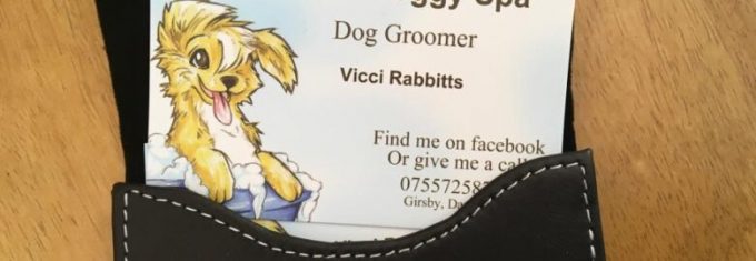 Viccis Doggy Spa