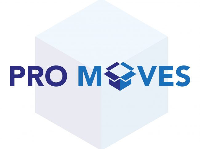 Pro Moves NE Ltd