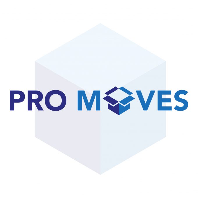 Pro Moves NE Ltd