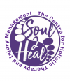 Soul 2 Heal