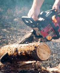 CRW Tree Surgery