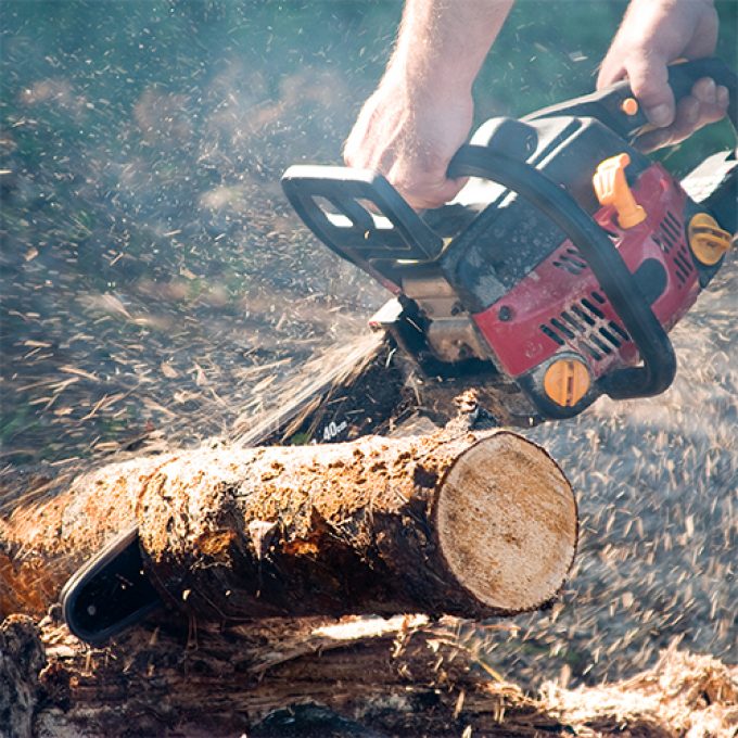 CRW Tree Surgery